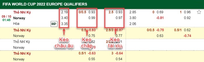 bảng kèo trận đấu Thổ Nhĩ Kỳ vs Na Uy