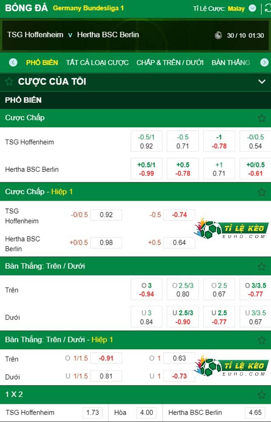 chi tiết kèo đấu Hoffenheim vs Hertha Berlin