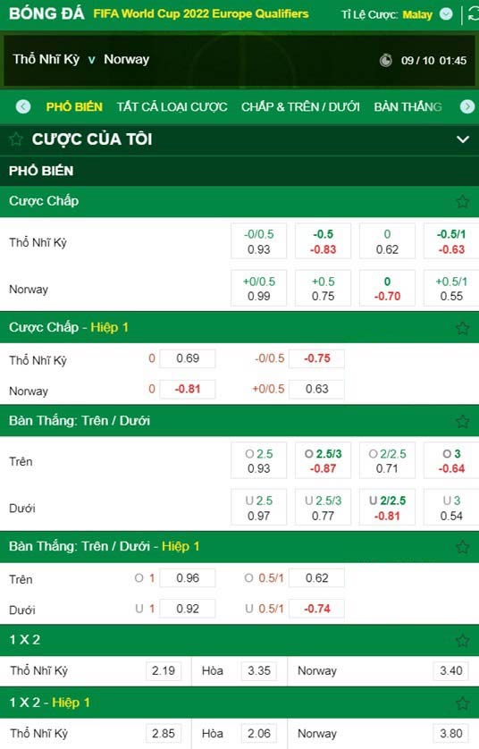 chi tiết kèo đấu Thổ Nhĩ Kỳ vs Na Uy