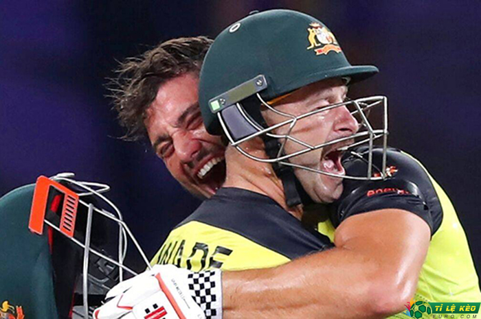 Wicketkeeper-batter Matthew Wade