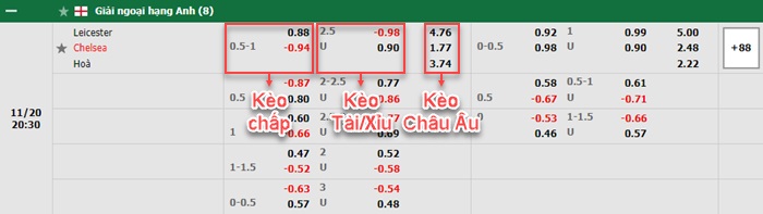 bảng kèo trận đấu Leicester vs Chelsea