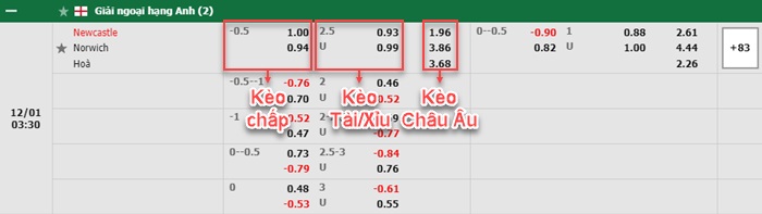 bảng kèo trận đấu Newcastle vs Norwich