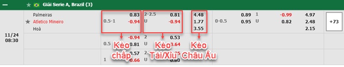 bảng kèo trận đấu Palmeiras vs Atletico Mineiro