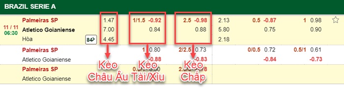 bảng kèo trận đấu Palmeiras vs Goianiense