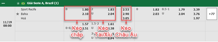 bảng kèo trận đấu Recife vs Bahia