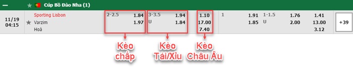 bảng kèo trận đấu Sportling Lisbon vs Varzim