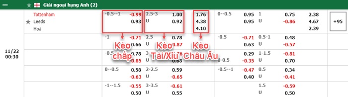 bảng kèo trận đấu Tottenham vs Leeds United