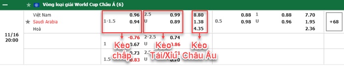 bảng kèo trận đấu Việt Nam vs Saudi Arabia