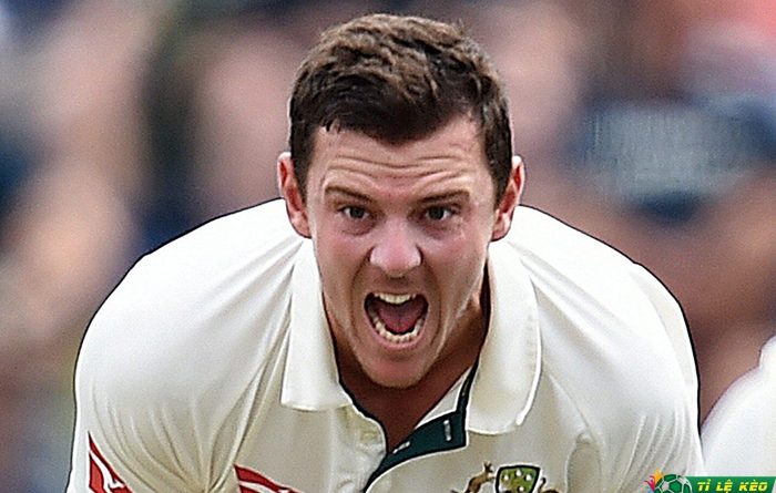 Josh Hazlewood