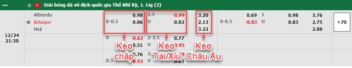 bảng kèo trận đấu Altinordu vs Boluspor