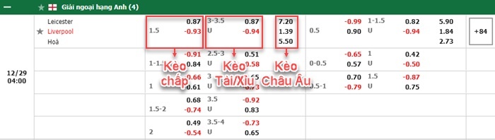 bảng kèo trận đấu Leicester vs Liverpool