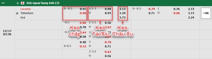 bảng kèo trận đấu Leicester vs Tottenham