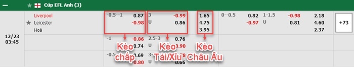 bảng kèo trận đấu Liverpool vs Leicester