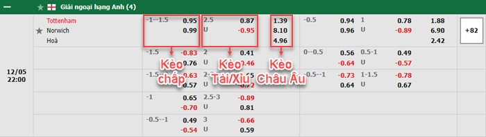 bảng kèo trận đấu Tottenham vs Norwich