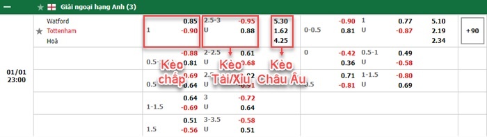 bảng kèo trận đấu Watford vs Tottenham