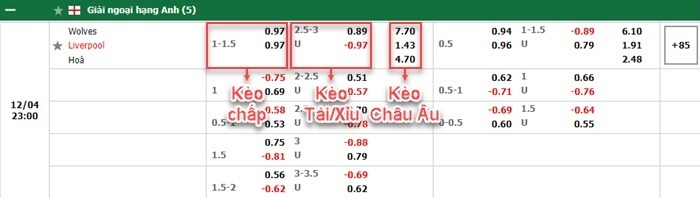 bảng kèo trận đấu Wolves vs Liverpool