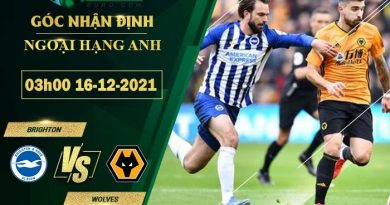 chi tiết kèo đấu Brighton vs Wolves