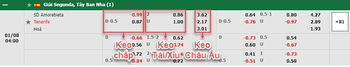 bảng kèo trận đấu Amorebieta vs Tenerife