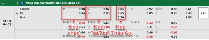 bảng kèo trận đấu Canada vs USA