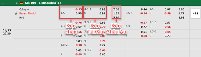 bảng kèo trận đấu Cologne vs Bayern Munich