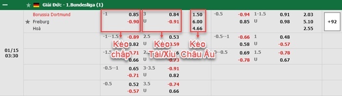 bảng kèo trận đấu Dortmund vs Freiburg