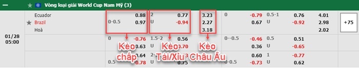 bảng kèo trận đấu Ecuador vs Brazil