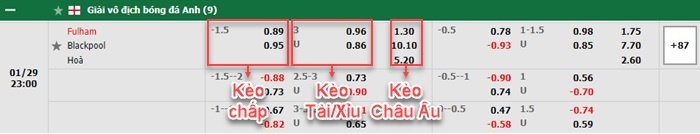 bảng kèo trận đấu Fulham vs Blackpool