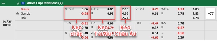 bảng kèo trận đấu Guinea vs Gambia