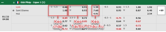 bảng kèo trận đấu Lyon vs Saint Etienne
