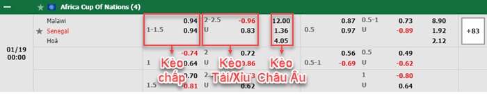 bảng kèo trận đấu Malawi vs Senegal