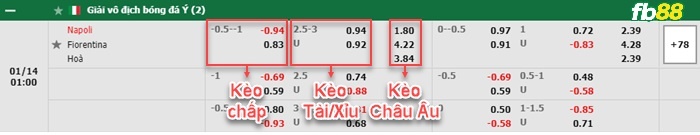 thông số đối đầu trận đấu Napoli vs Fiorentina