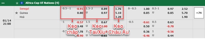 bảng kèo trận đấu Senegal vs Guinea