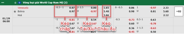 bảng kèo trận đấu Venezuela vs Bolivia