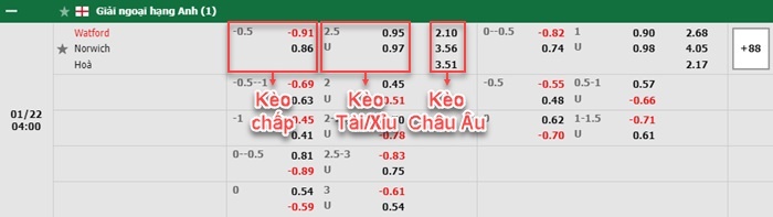 bảng kèo trận đấu Watford vs Norwich