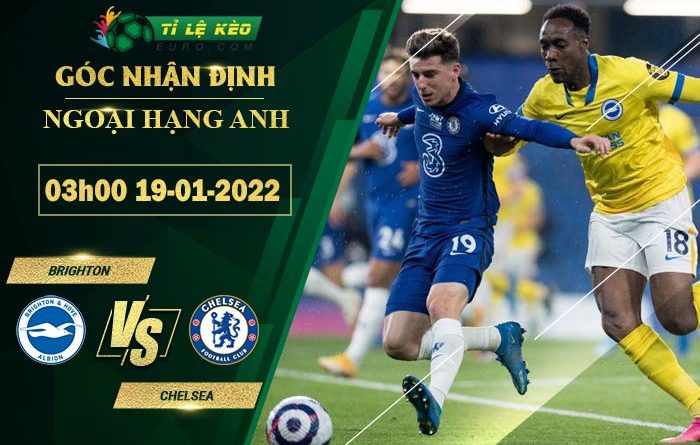 soi kèo Brighton vs Chelsea