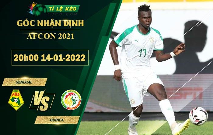 soi kèo Senegal vs Guinea