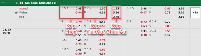 bảng kèo trận đấu Arsenal vs Wolves