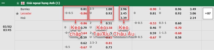 bảng kèo trận đấu Burnley vs Leicester