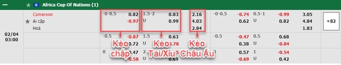 bảng kèo trận đấu Cameroon vs Ai Cập