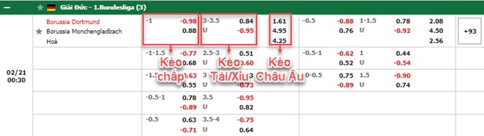 bảng kèo trận đấu Dortmund vs Monchengladbach