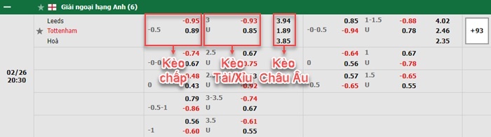 bảng kèo trận đấu Leeds United vs Tottenham