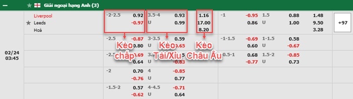 bảng kèo trận đấu Liverpool vs Leeds United