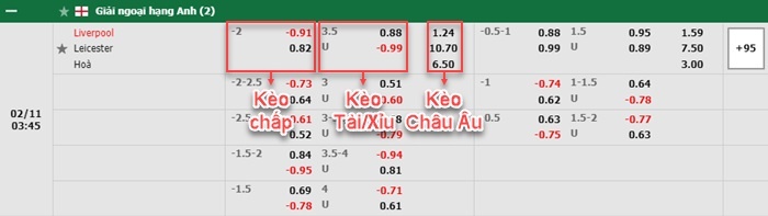 bảng kèo trận đấu Liverpool vs Leicester