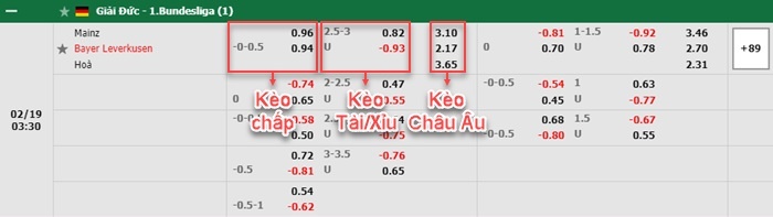 bảng kèo trận đấu Mainz vs Leverkusen