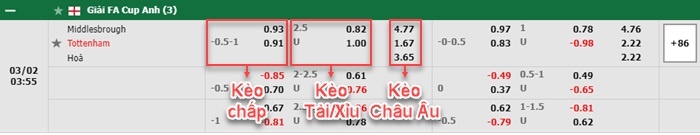 bảng kèo trận đấu Middlesbrough vs Tottenham