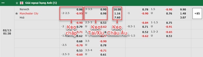 bảng kèo trận đấu Norwich vs Man City