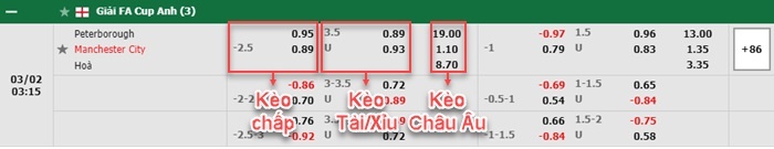 bảng kèo trận đấu Peterboroughvs Man City