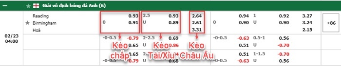 bảng kèo trận đấu Reading vs Birmingham