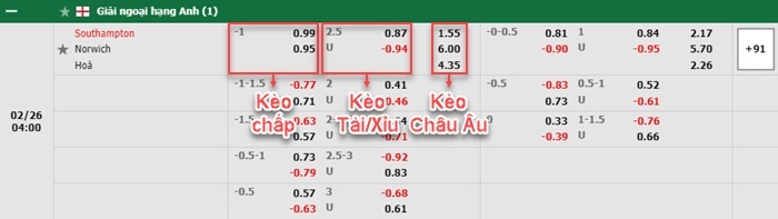 bảng kèo trận đấu Southampton vs Norwich