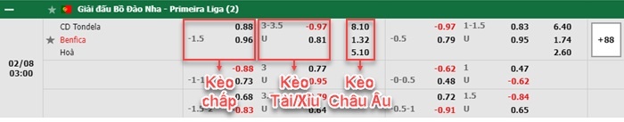 bảng kèo trận đấu Tondela vs Benfica